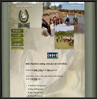 Umfula Tours Website Design