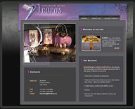Icarus Website Design