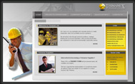Trimanex Website Design