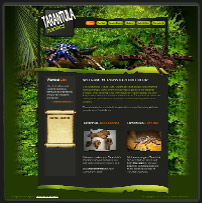 Tarantula Maniacs Website Design